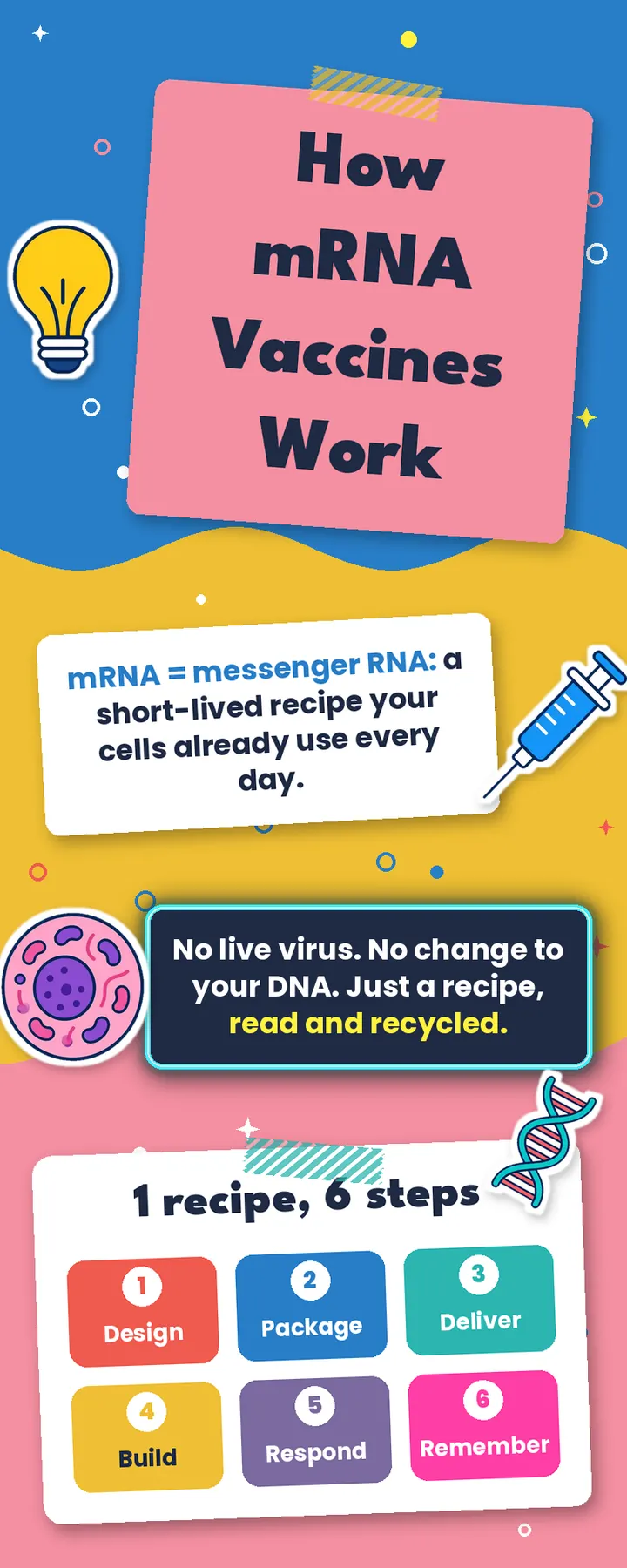 Title graphic: How mRNA Vaccines Work, with the six steps Design, Package, Deliver, Build, Respond, Remember