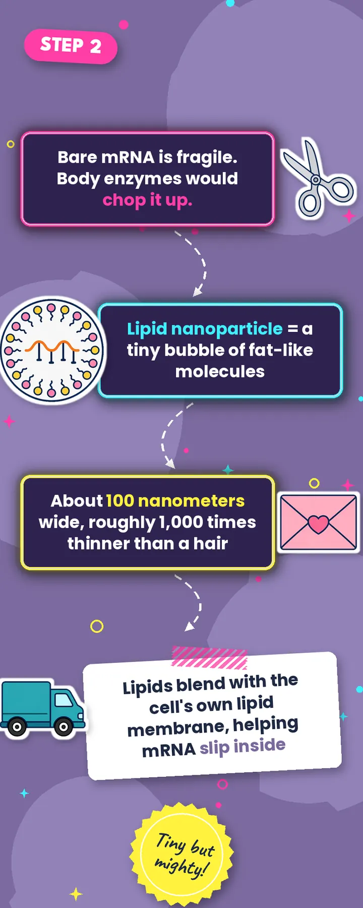 Lipid nanoparticle facts: a tiny fat-like bubble about 100 nanometers wide that protects mRNA and helps it enter cells